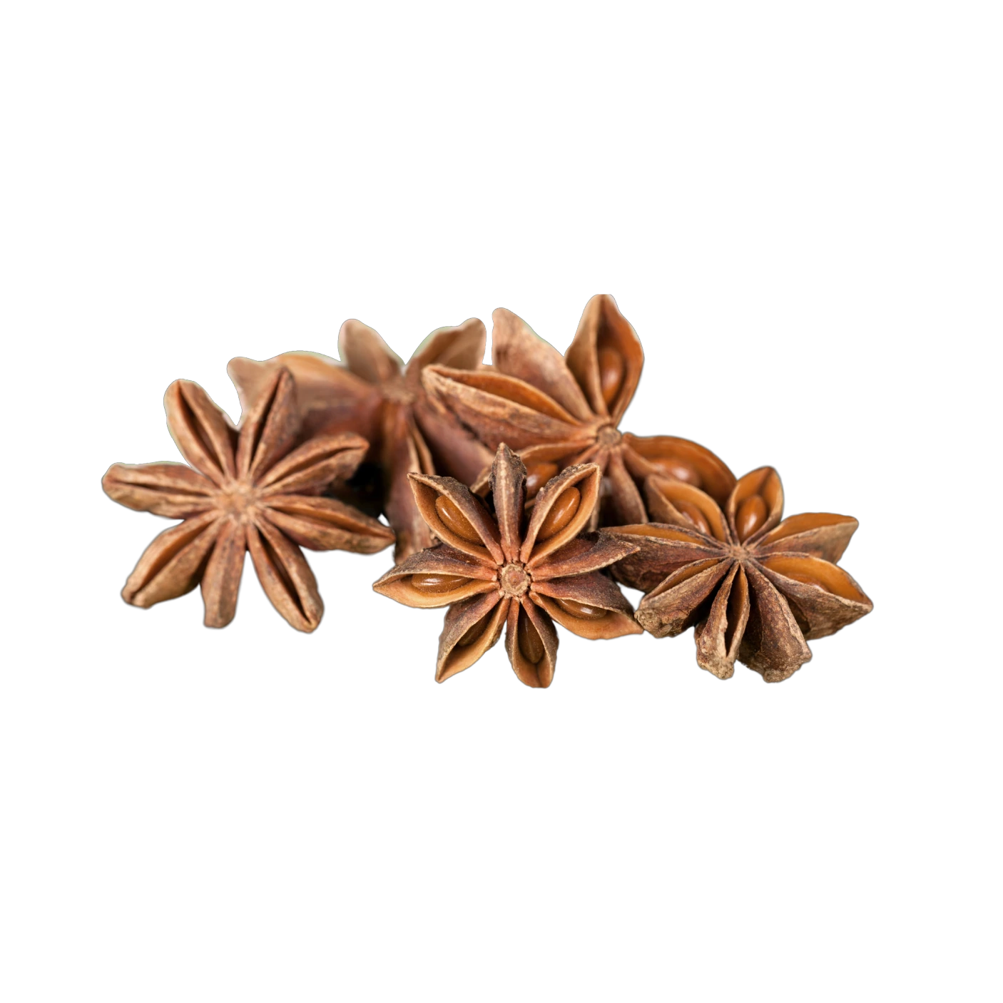 Anise