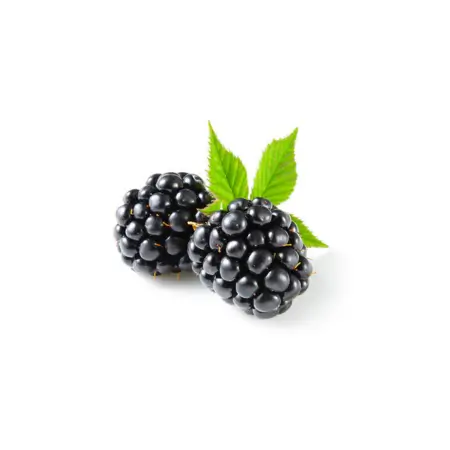 Blackberry