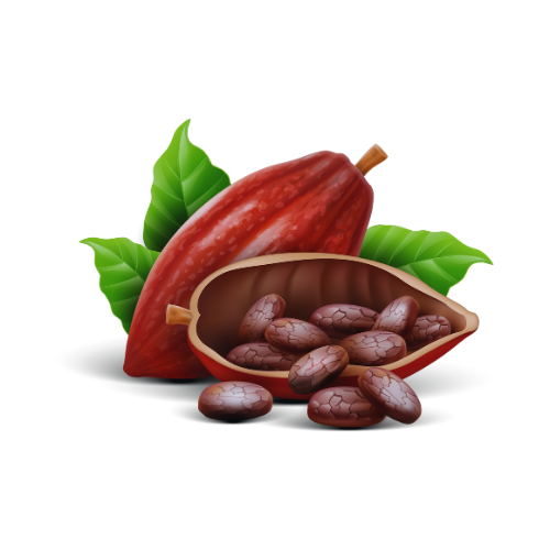 Cacao Pod