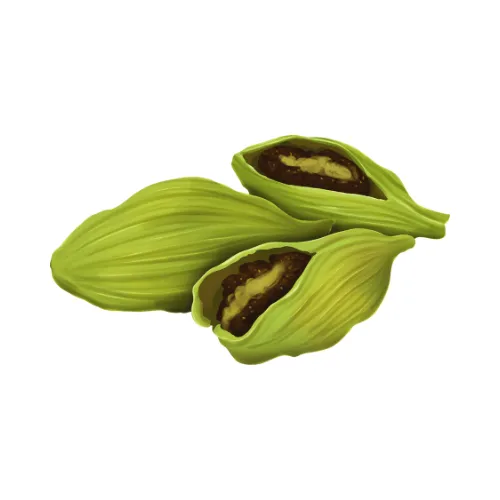 Cardamom