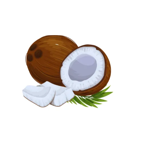 Coconut