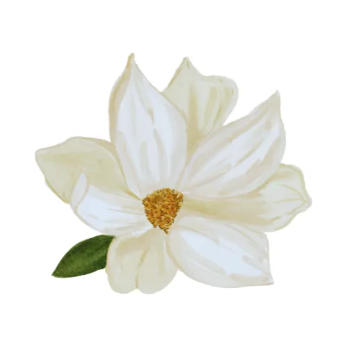 Magnolia
