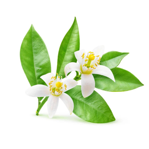 Neroli