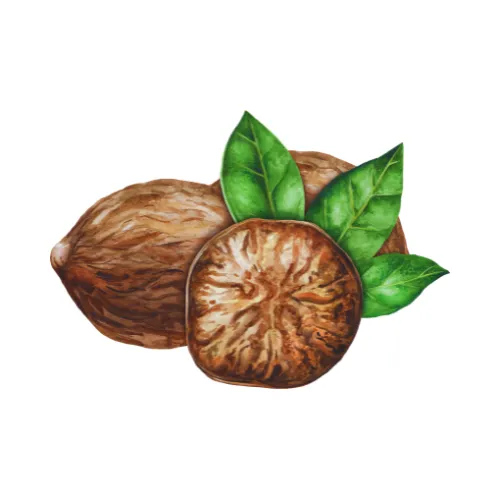 Nutmeg