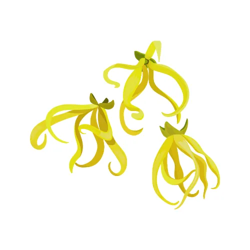 Ylang Ylang