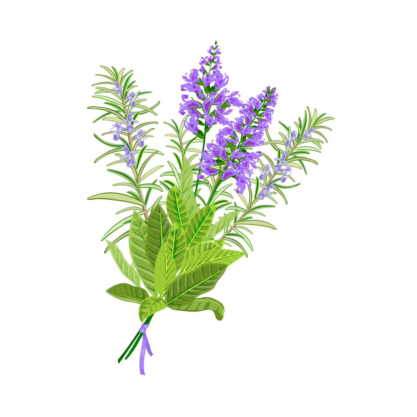 Clary Sage