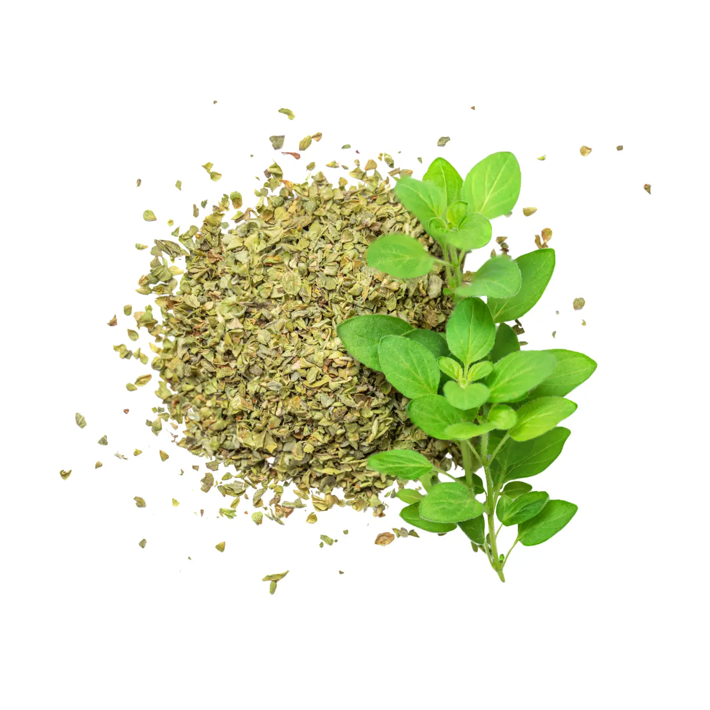 Oregano
