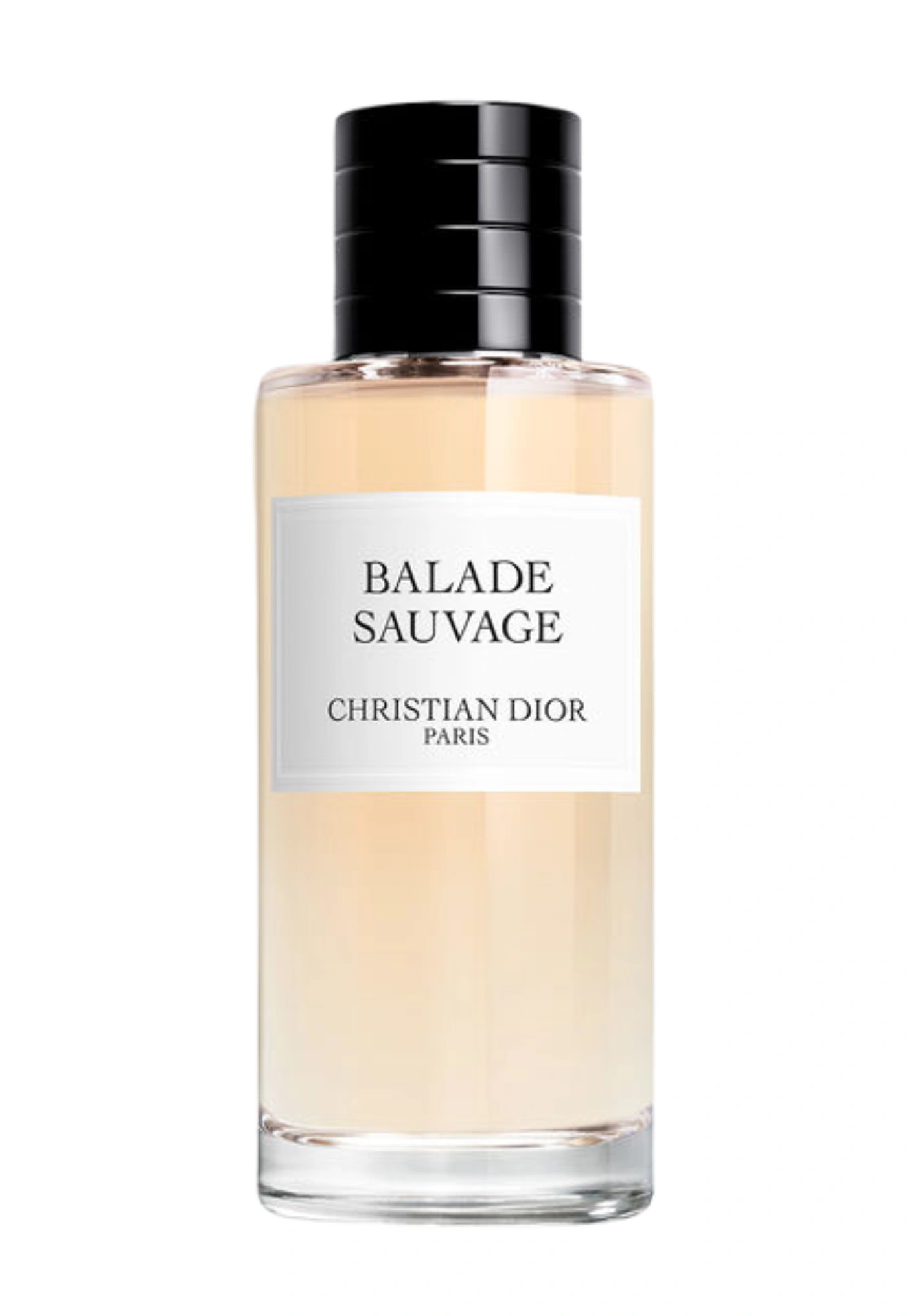 Dior Balade Sauvage
