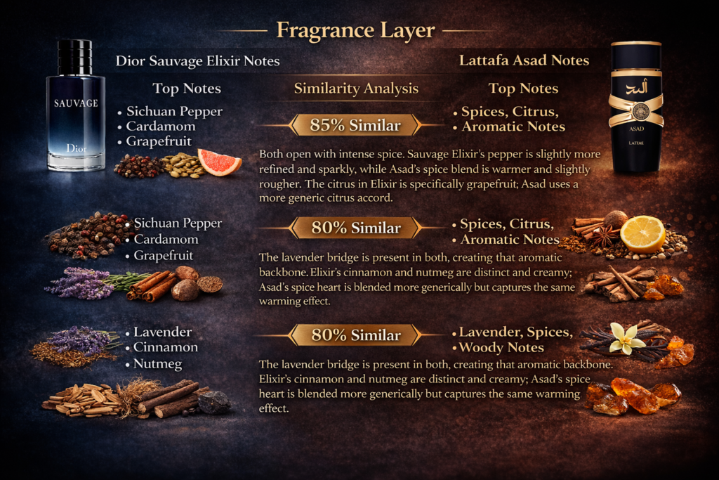 The Scent Breakdown Does Lattafa Asad Smell Like Dior Sauvage Elixir